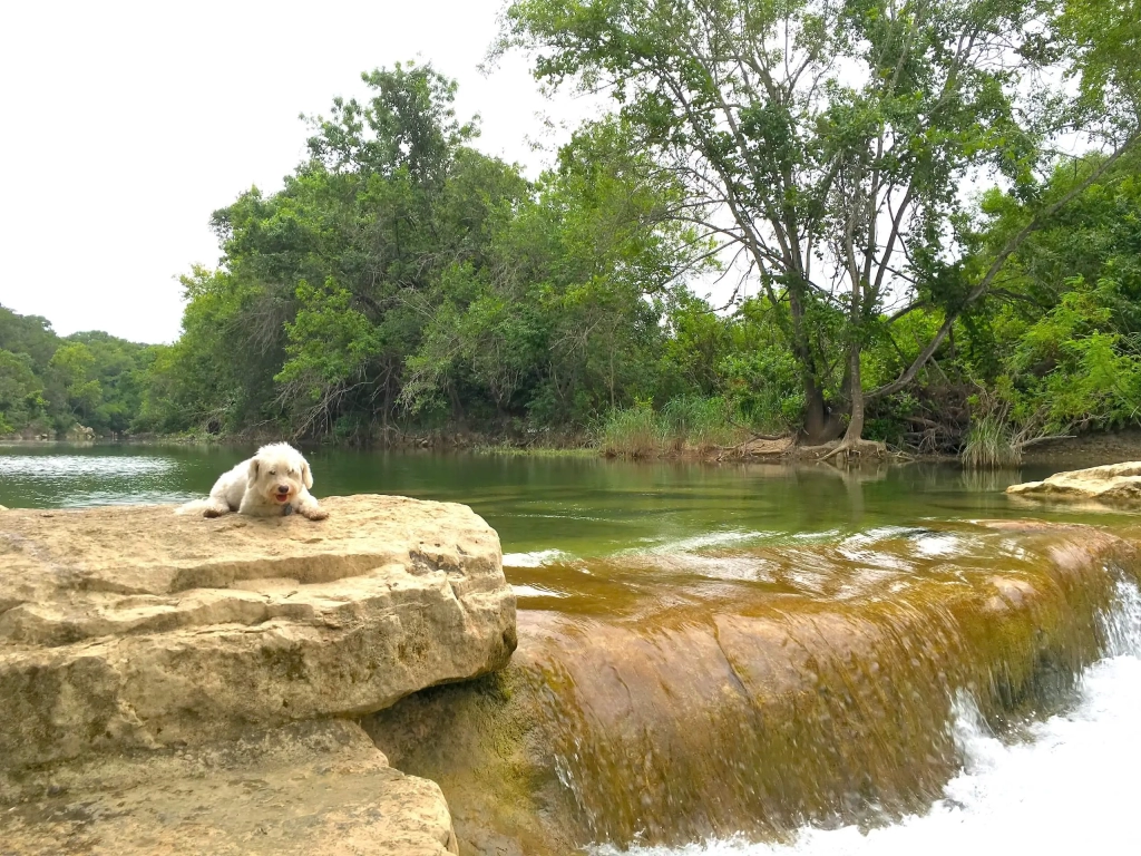 nature and weather in Austin Texas