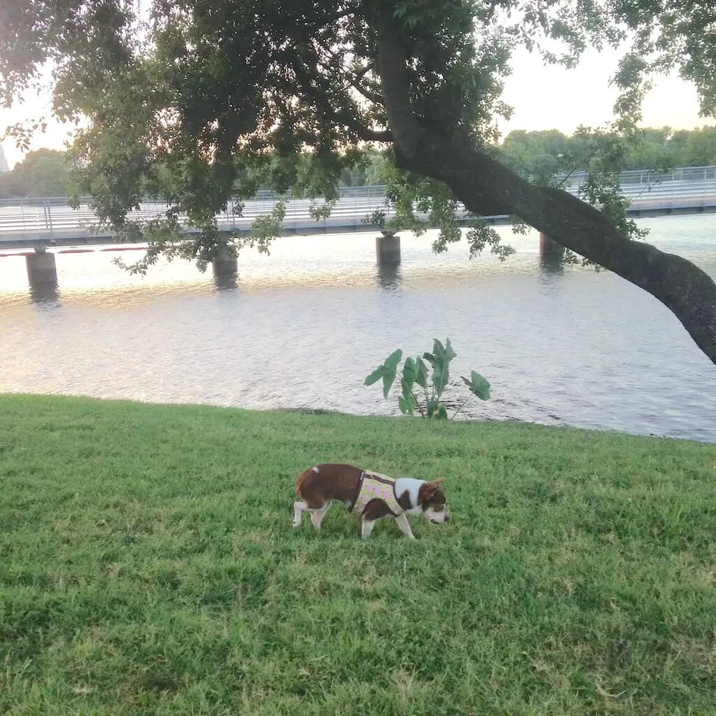 Austin parks, Texas